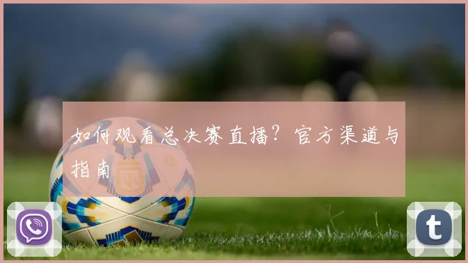 如何观看总决赛直播？官方渠道与指南
