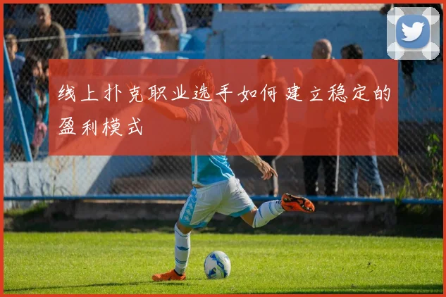 线上扑克职业选手如何建立稳定的盈利模式