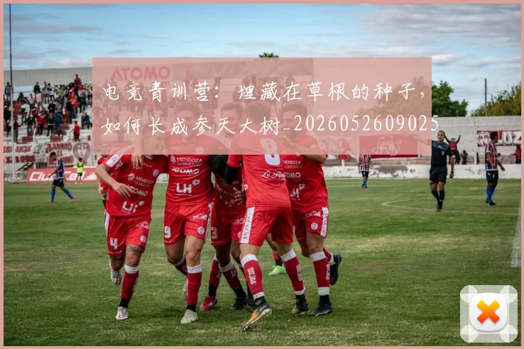 电竞青训营：埋藏在草根的种子，如何长成参天大树_20260526090256