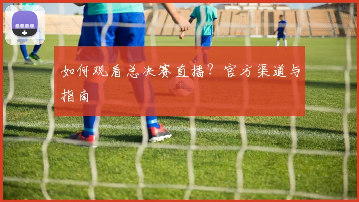 如何观看总决赛直播?官方渠道与指南