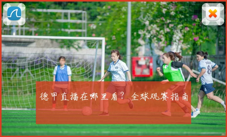 德甲直播在哪里看?全球观赛指南