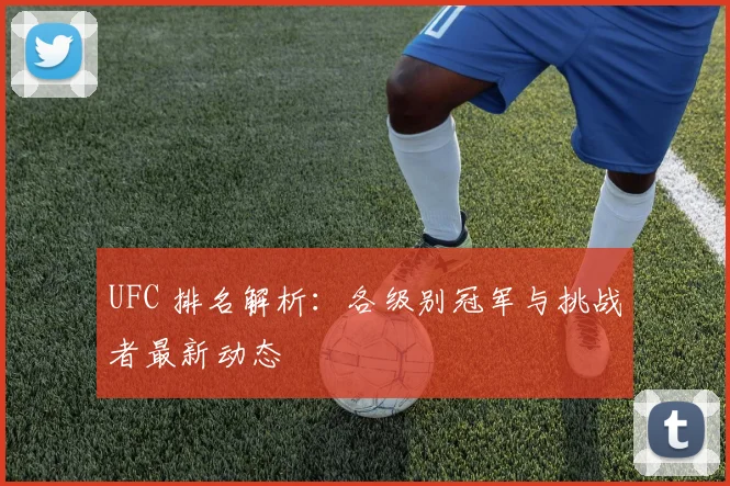 UFC 排名解析：各级别冠军与挑战者最新动态