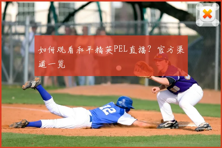 如何观看和平精英PEL直播?官方渠道一览