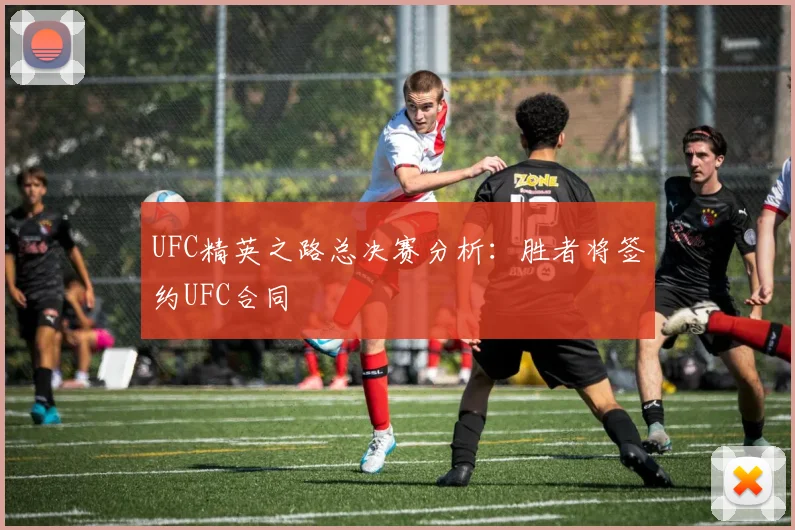 UFC精英之路总决赛分析:胜者将签约UFC合同